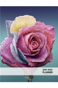 2019-2020 Planner Weekly and Monthly 8.5 X 11
