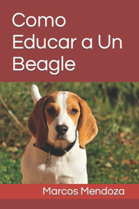 Como Educar a Un Beagle