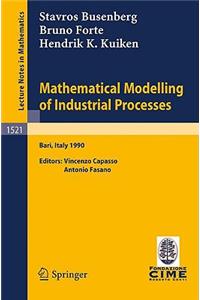 Mathematical Modelling of Industrial Processes