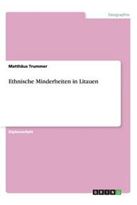 Ethnische Minderheiten in Litauen