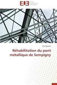Réhabilitation Du Pont Métallique de Sempigny