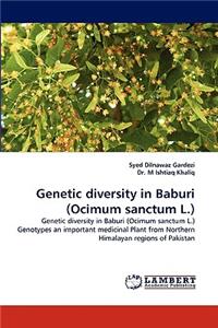 Genetic Diversity in Baburi (Ocimum Sanctum L.)