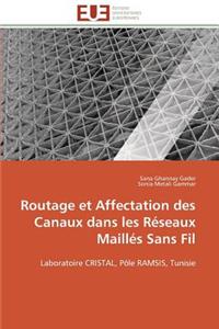 Routage Et Affectation Des Canaux Dans Les Réseaux Maillés Sans Fil