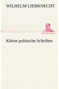 Kleine Politische Schriften