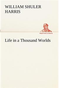 Life in a Thousand Worlds