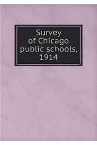 Survey of Chicago public schools, 1914