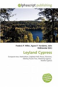 Leyland Cypress