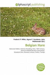 Belgian Hare
