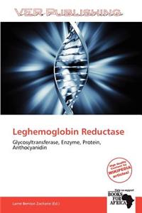 Leghemoglobin Reductase