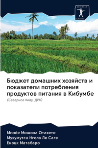 Бюджет домашних хозяйств и показатели пот