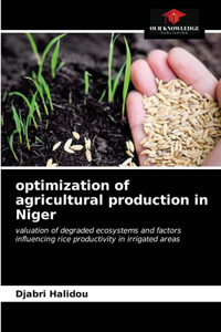 optimization of agricultural production in Niger