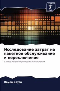 Исследование затрат на пакетное обслужив