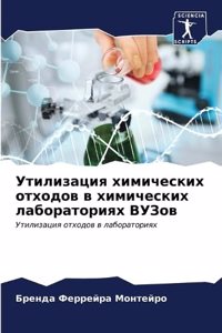 Утилизация химических отходов в химичес