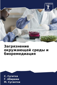 &#1047;&#1072;&#1075;&#1088;&#1103;&#1079;&#1085;&#1077;&#1085;&#1080;&#1077; &#1086;&#1082;&#1088;&#1091;&#1078;&#1072;&#1102;&#1097;&#1077;&#1081; &#1089;&#1088;&#1077;&#1076;&#1099; &#1080; &#1073;&#1080;&#1086;&#1088;&#1077;&#1084;&#1077;&#1076