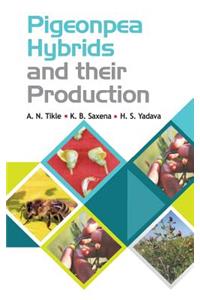 Pigeonpea Hybrids and Their Production