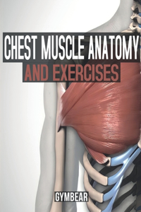 Chest Muscle Anatomy And Exerciese Gymbear