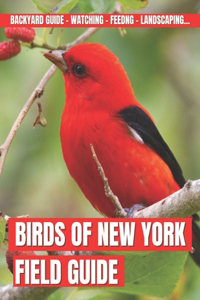 Birds Of New York Filed Guide