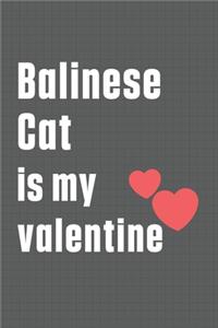 Balinese Cat is my valentine