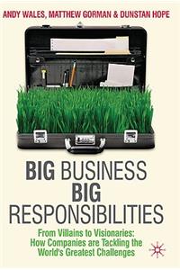 Big Business, Big Responsibilities