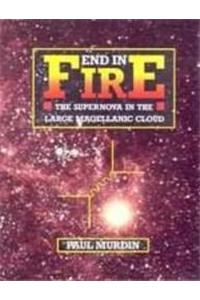 End in Fire: The Supernova in the Large Magellanic Cloud