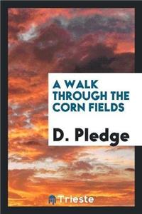 Walk Through the Corn Fields