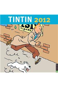 Tintin