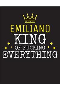 EMILIANO - King Of Fucking Everything