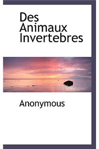 Des Animaux Invertebres