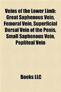 Veins of the Lower Limb