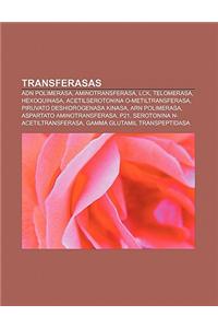 Transferasas: Adn Polimerasa, Aminotransferasa, Lck, Telomerasa, Hexoquinasa, Acetilserotonina O-Metiltransferasa