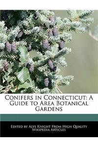 Conifers in Connecticut