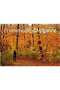 Promenade d'Automne 2017