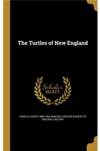 The Turtles of New England