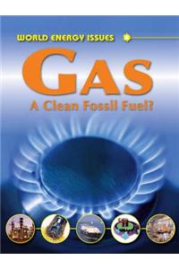 Gas - A Clean Fossil Fuel?