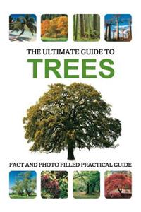 Ultimate Guide