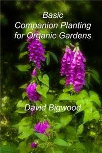 Basic Companion Planting for Organic Gardens