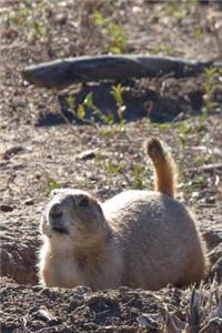 Cute Prairie Dog Journal