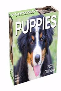 Puppies 2022 Mini Day-To-Day Calendar