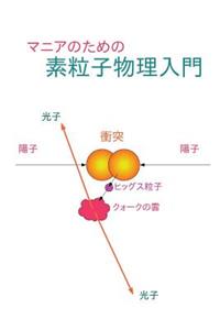 Elementary Particle Physics for Enthusiasts