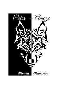 Color - Amaze