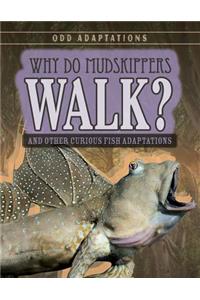 Why Do Mudskippers Walk?