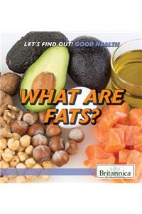 What Are Fats?