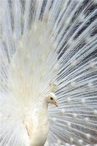 Elegant White Peacock Journal