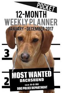 2017 Pocket Weekly Planner - Most Wanted Dachshund