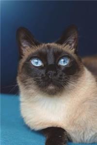 Seal Point Siamese Cat Portrait Journal