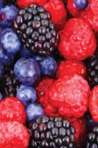 Berries Painted Notebook