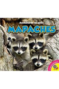Mapaches, With Code