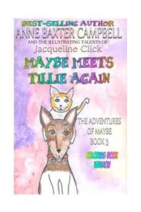 Maybe Meets Tillie Again the Adventures of Maybe Book 3