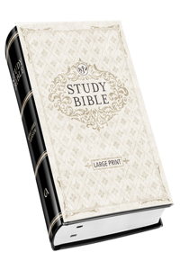 KJV Study Bible, Large Print Hardcover, King James Version Holy Bible, Black