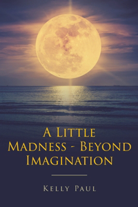 Little Madness- Beyond Imagination